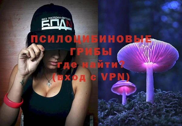 ПСИЛОЦИБИНОВЫЕ ГРИБЫ Лагань