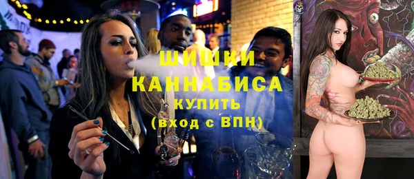 твердый Ладушкин