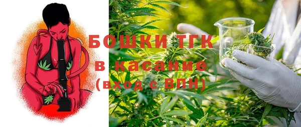 ПСИЛОЦИБИНОВЫЕ ГРИБЫ Лагань