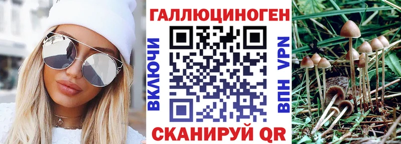 KRAKEN ссылка  Миньяр  Галлюциногенные грибы Psilocybine cubensis  купить  цена 
