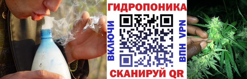 Бошки марихуана марихуана Миньяр